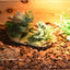 OMEM Reptile Small Hide, Turtles Hide Cage, Artificial Plant Rock, Humidified Habitat Decoration (Red Soil)