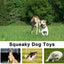 LEGEND SANDY 14 Pack Dog Squeaky Toys Cute Stuffed Plush Fruits Snacks and Vegetables Dog Toys for Puppy Small Medium Dog Pets