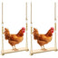 Chicken Swing , 2 Pack Chicken Toys, Chicken Swing , Chicken Swing for Chickens Rooster Poultry Parrots (2Pcs)
