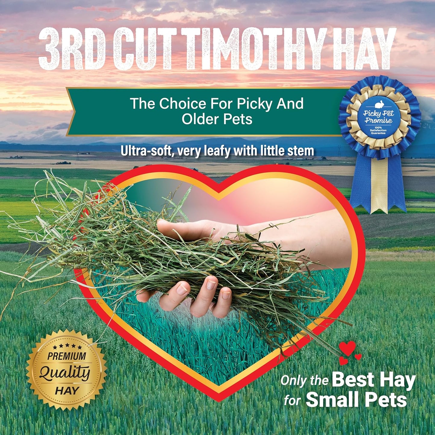 Small Pet Select 3Rd Cutting Super Soft Timothy Hay Pet Food for Picky Eaters, Rabbits, Guinea Pigs, and Other Small Animals, Easy to Store Box, 10 LB