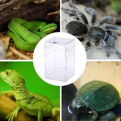 LYTIVAGEN Insect Feeding Box, 12X12X20Cm Acrylic Reptile Enclosure Transparent Reptile Pet Breeding Case for Spide, Lizard, Scorpion, Centipede, Horned Frog, Beetle