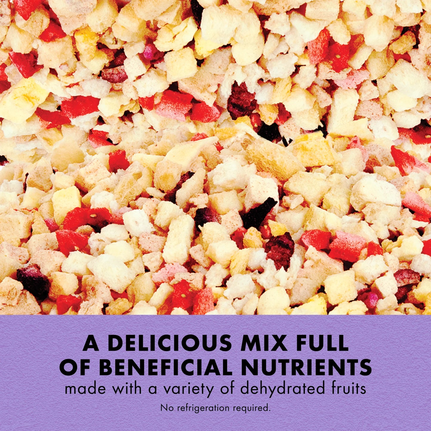 Zilla Reptile Munchies Fruit Mix Black 2.5 Oz.