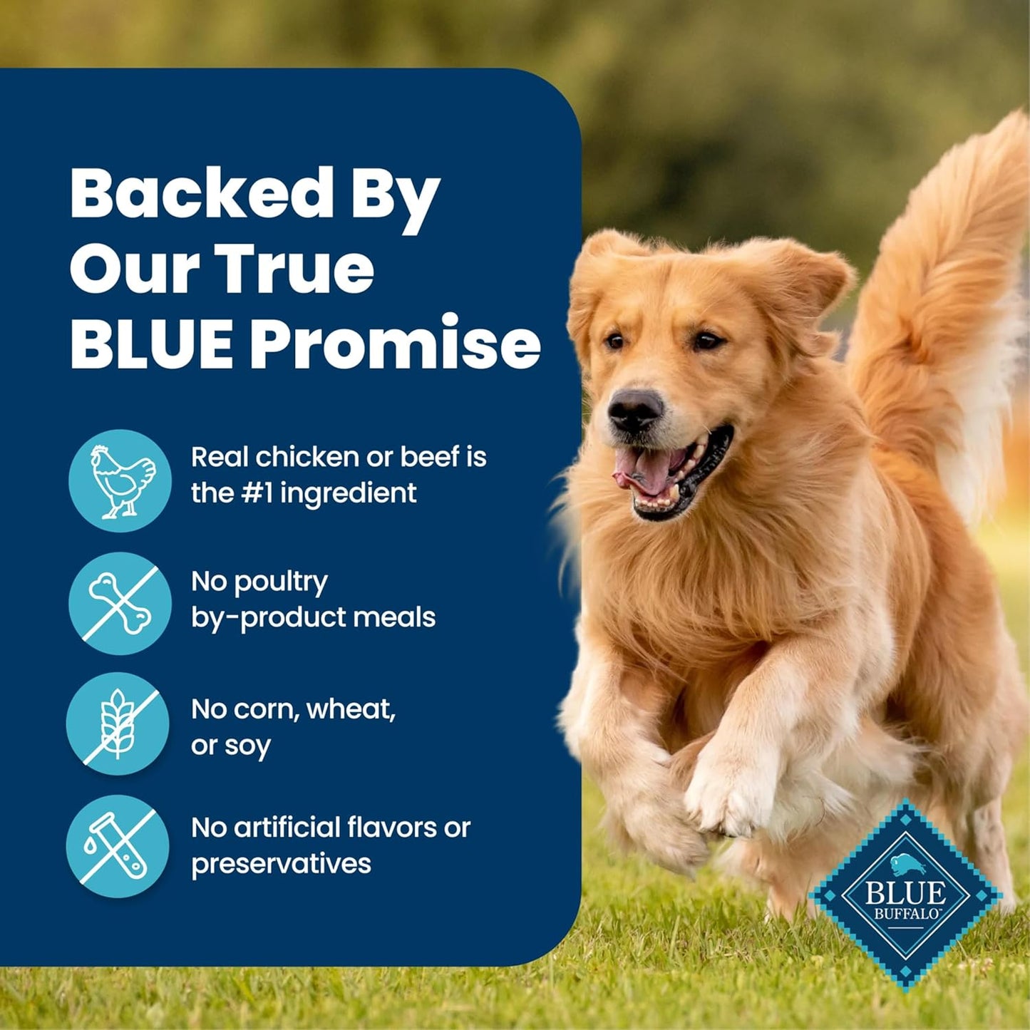 Blue Buffalo Homestyle Recipe Wet Dog Food Paté Variety Pack, Chicken Dinner & Beef Dinner with Garden Vegetables, Made with Natural Ingredients, 12.5-Oz. Can (6 Count, 3 of Each)