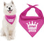 Parisian Pet Pink Dog Bandanas - Adjustable Drama Queen Puppy Bandana - Girl Dog Accessories - Breathable and Stylish Dogs Kerchief - Triangle Pet Scarves - Small Dogs Bandana - Bib for Pets