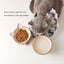 Nihow Elevated Cat Bowls,5 Inch Ceramic Raised Cat Food and Water Bowl Set