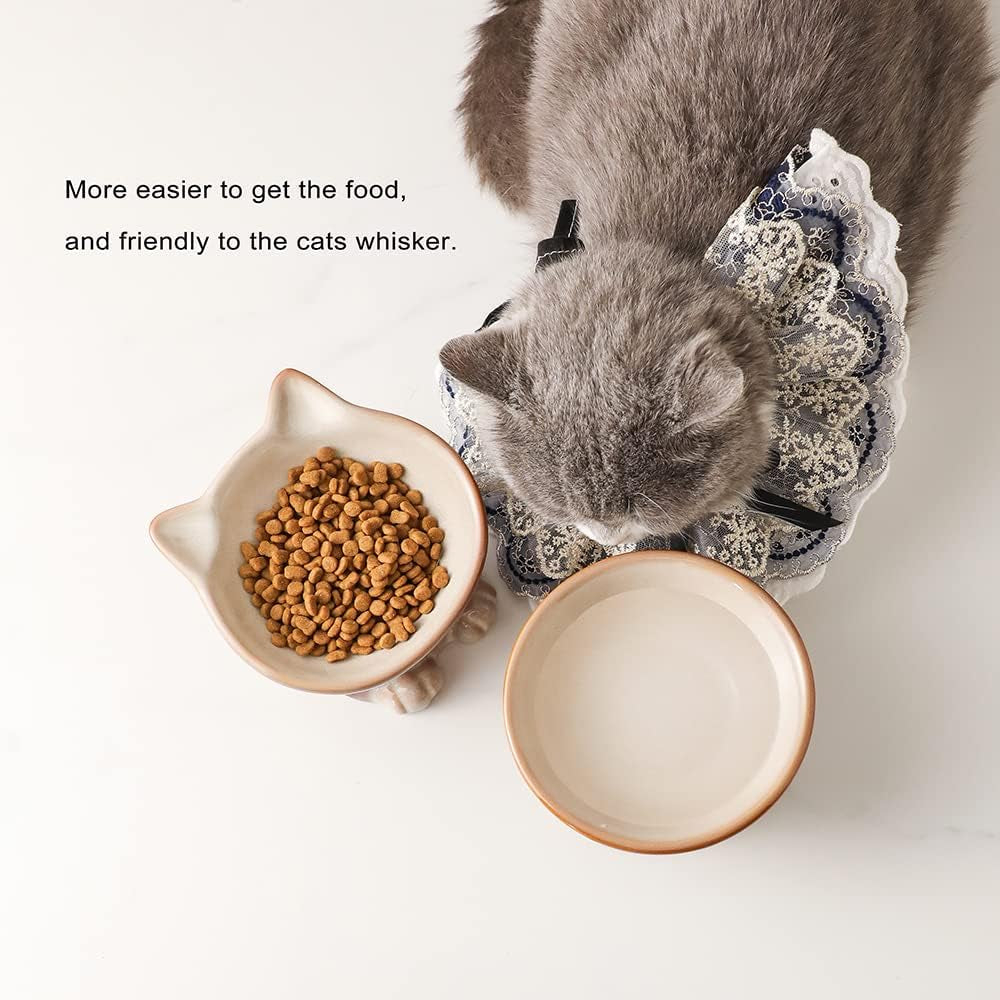 Nihow Elevated Cat Bowls,5 Inch Ceramic Raised Cat Food and Water Bowl Set