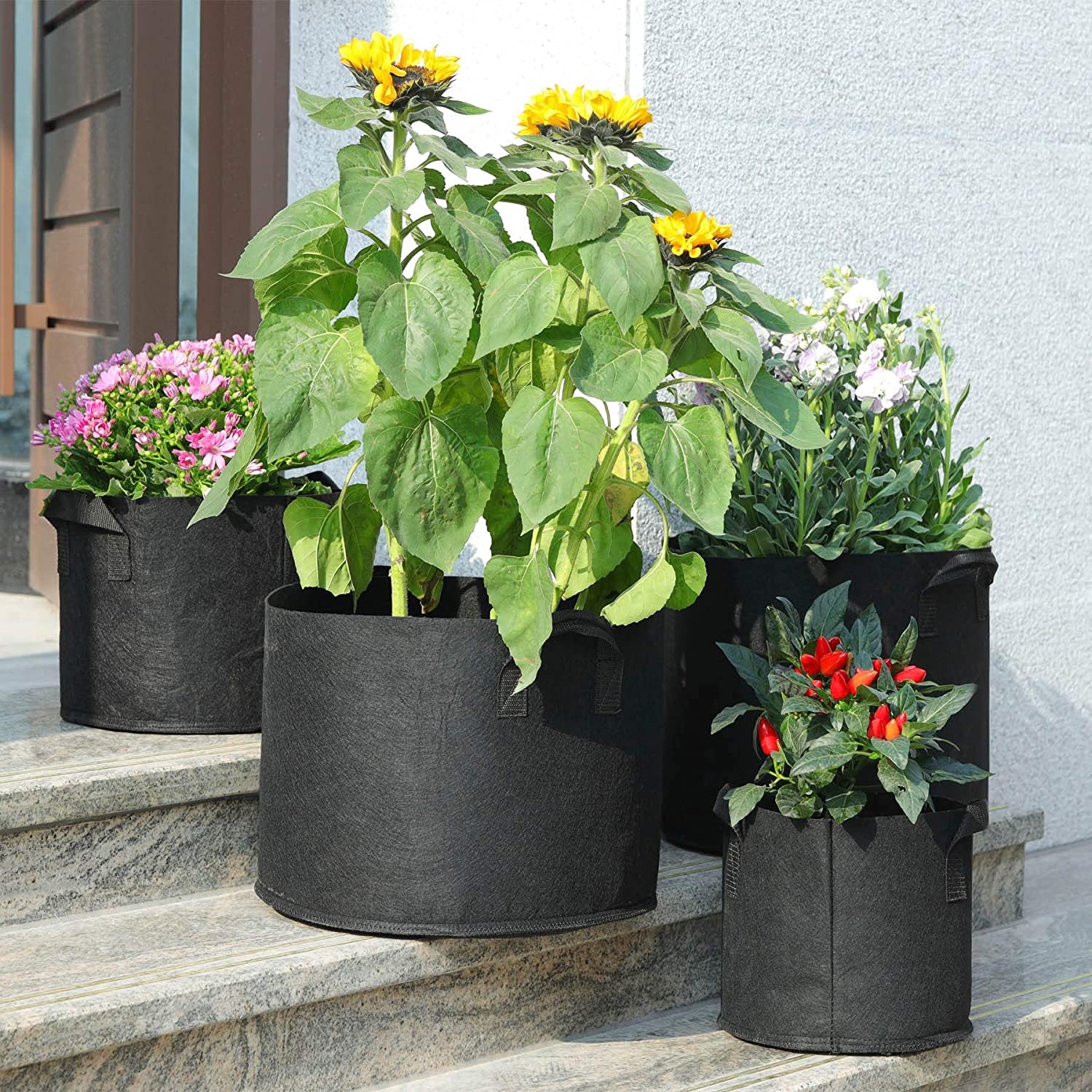 T4U Fabric Plant Grow Bags with Handle 10 Gallon Pack of 5, Heavy Duty Nonwoven Smart Garden Pot Thickened Aeration Nursery Container Black for Outdoor Flower and Vegetables