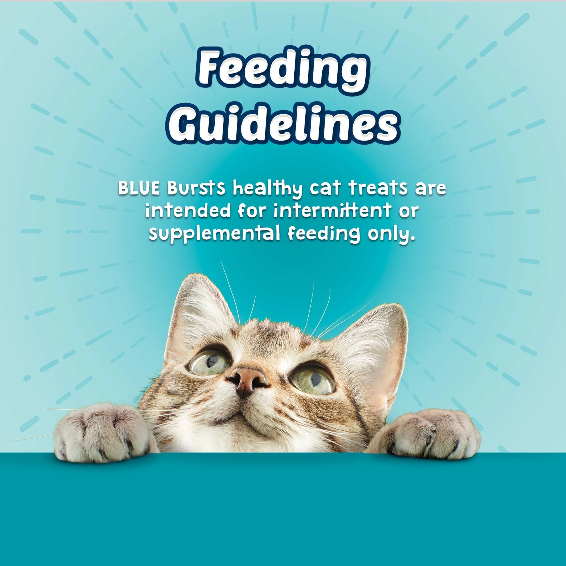 Blue Buffalo Bursts Crunchy & Creamy Cat Treats, Great for Training, Savory Seafood, 12-Oz Tub