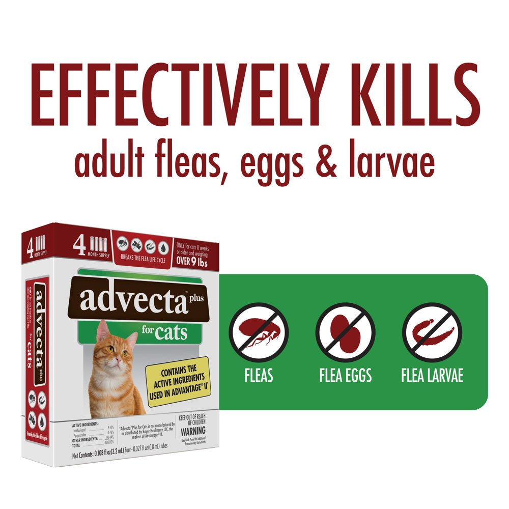 Advecta plus Flea Protection for Large Cats, Fast-Acting Topical Flea Prevention, 4 Count