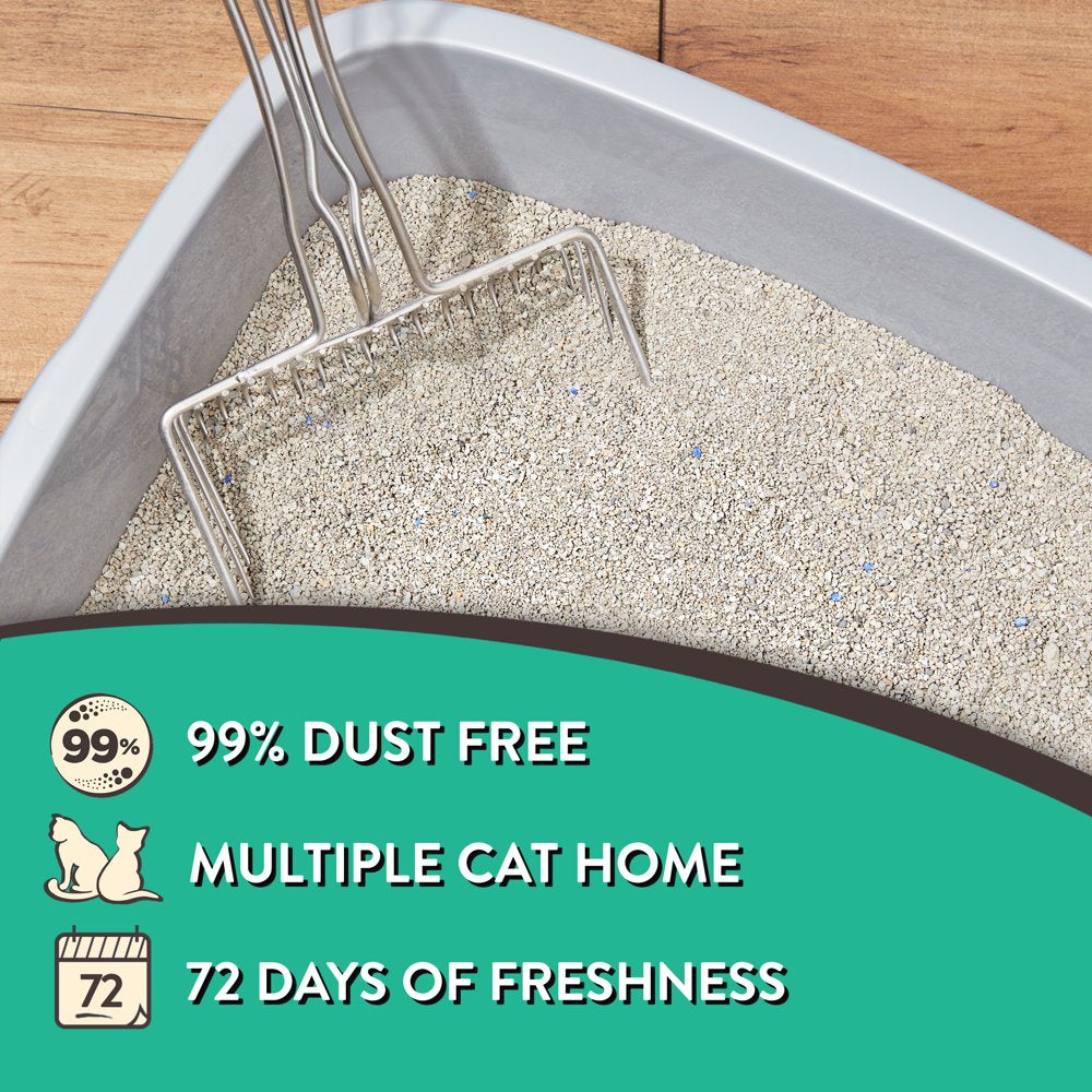 Special Kitty Odor Control Tight Clumping Cat Litter, Fresh Scent, 40 Lb