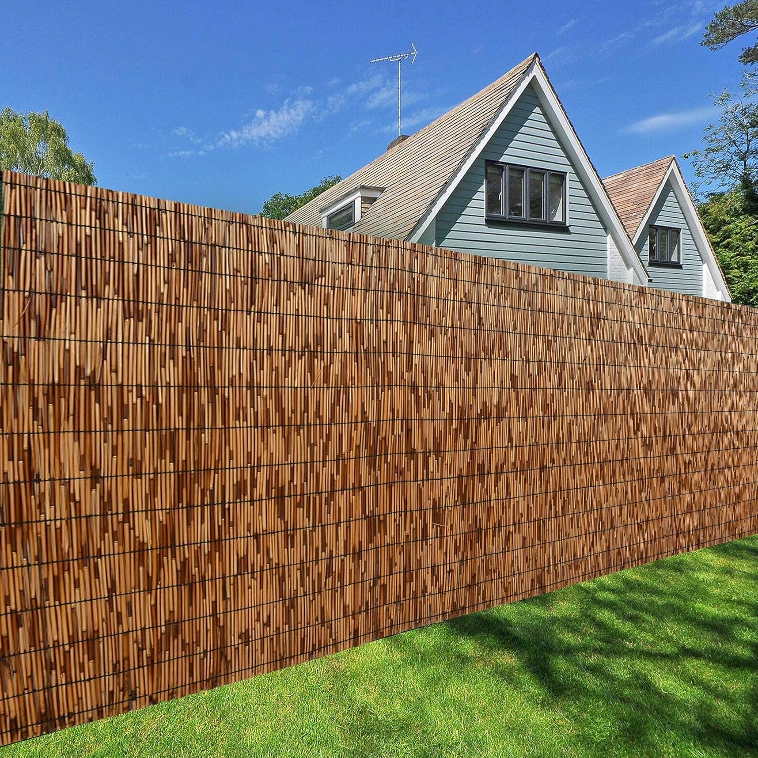 Dearhouse Natural Reed Fencing, Eco-Friendly Reed Fence, 6 Feet High X 13.3 Feet Long, Reed Screen for Garden, Privacy Fence
