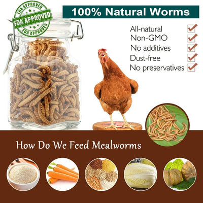 Non-Gmo High-Protein Large Dried Mealworms for Chickens, Natural Grubs and Poultry Treats as Chicken Feed,Duck Food, Wild Birds Seed,Fish Food,Reptile Food,Amphibian Food(Mealworms-2Lb)