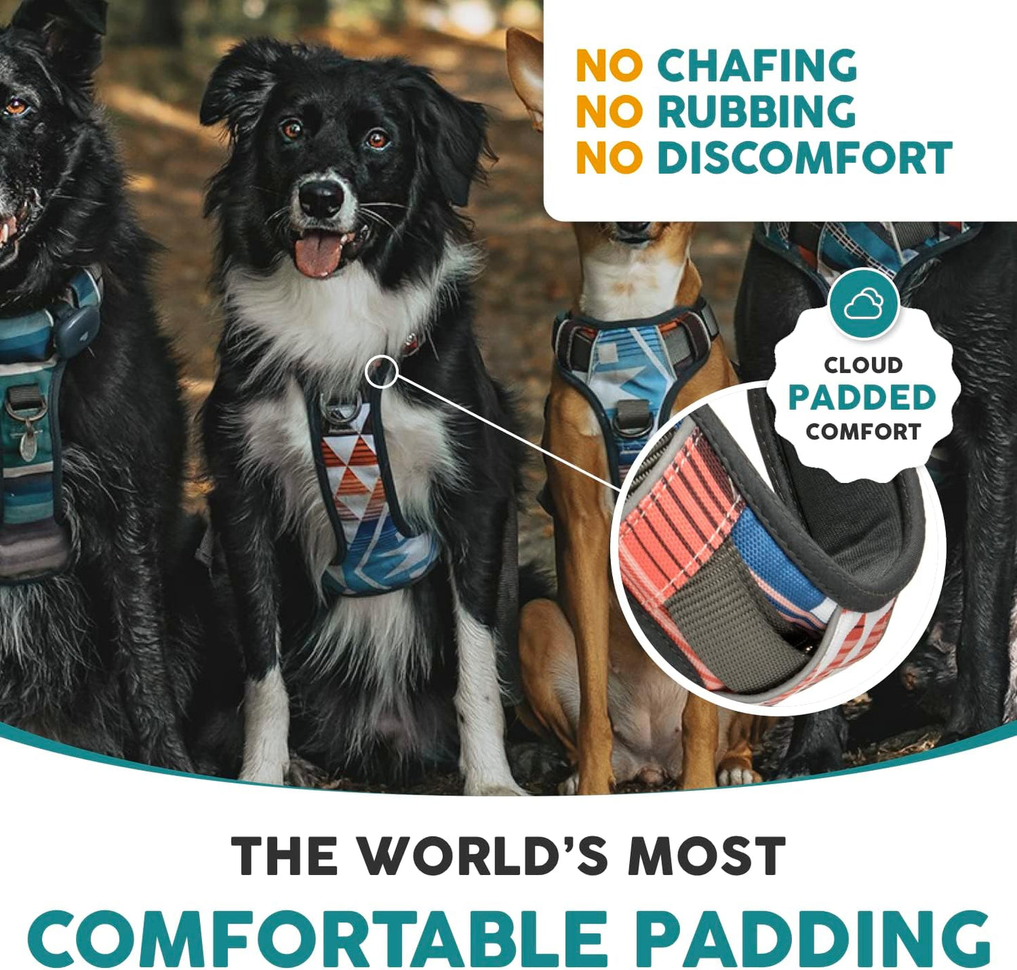 Embark Adventure Small Dog Harness – No-Pull, Reflective Trim, Military-Grade Nylon, Front Clip with Gel-Lined Handle