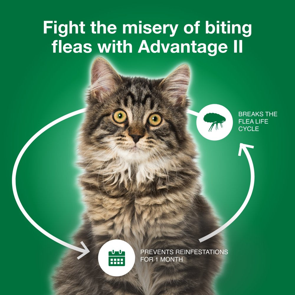 Advantage II Vet-Recommended Flea Prevention for Large Cats 9 Lbs+, 6-Monthly Treatments