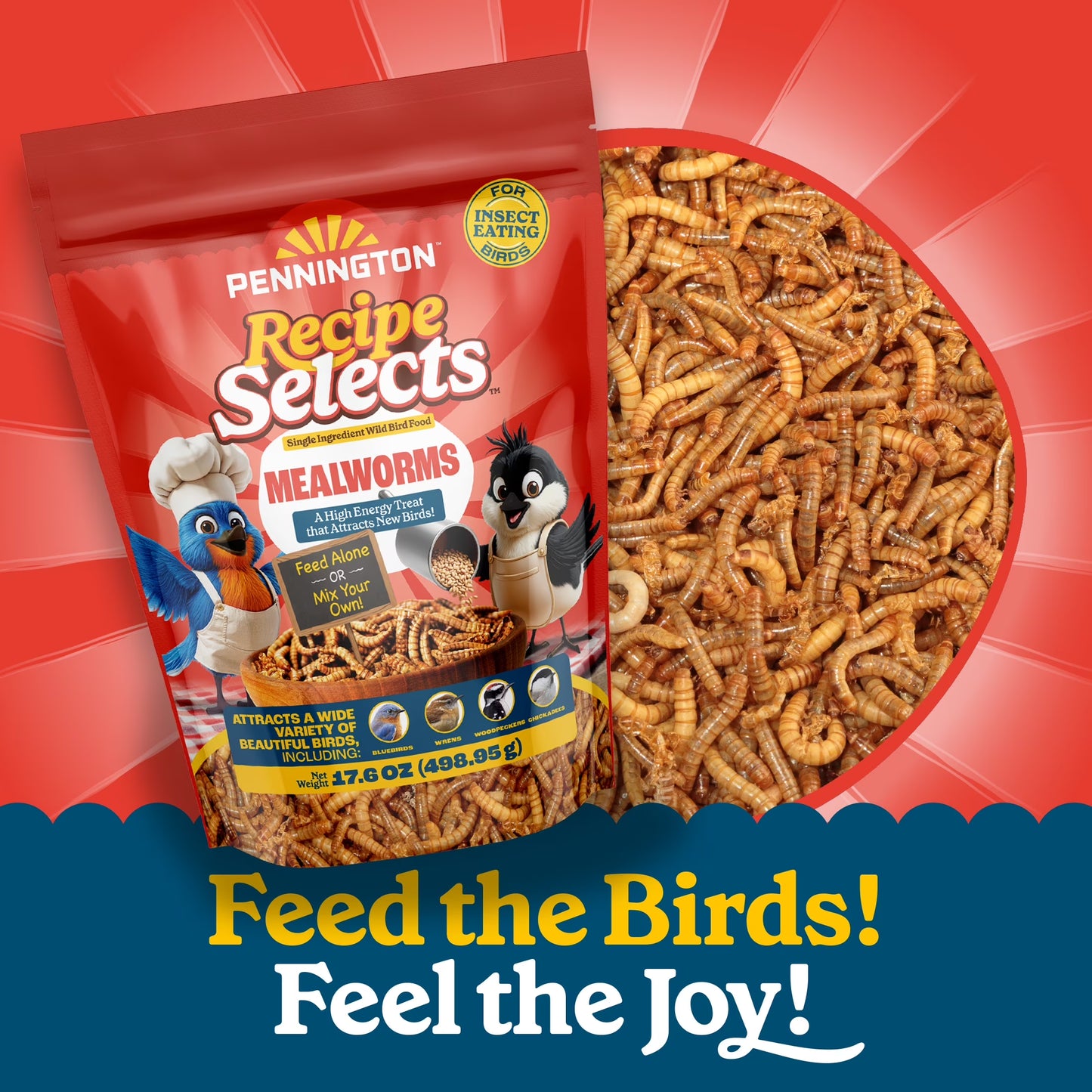 (4 Pack) Pennington Recipe Selects Dried Mealworms for Birds, Bluebird and Wild Bird Food for outside Feeder, 17.6 Oz Bag, 1 Pack