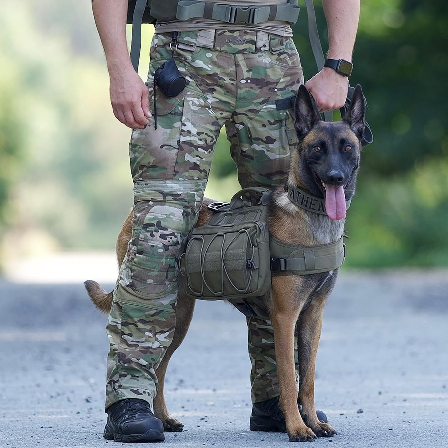 ONETIGRIS Tactical Dog Backpack for Medium & Large Dogs - Durable Nylon Hiking Pack with Spacious Side Pockets (Green, Large)