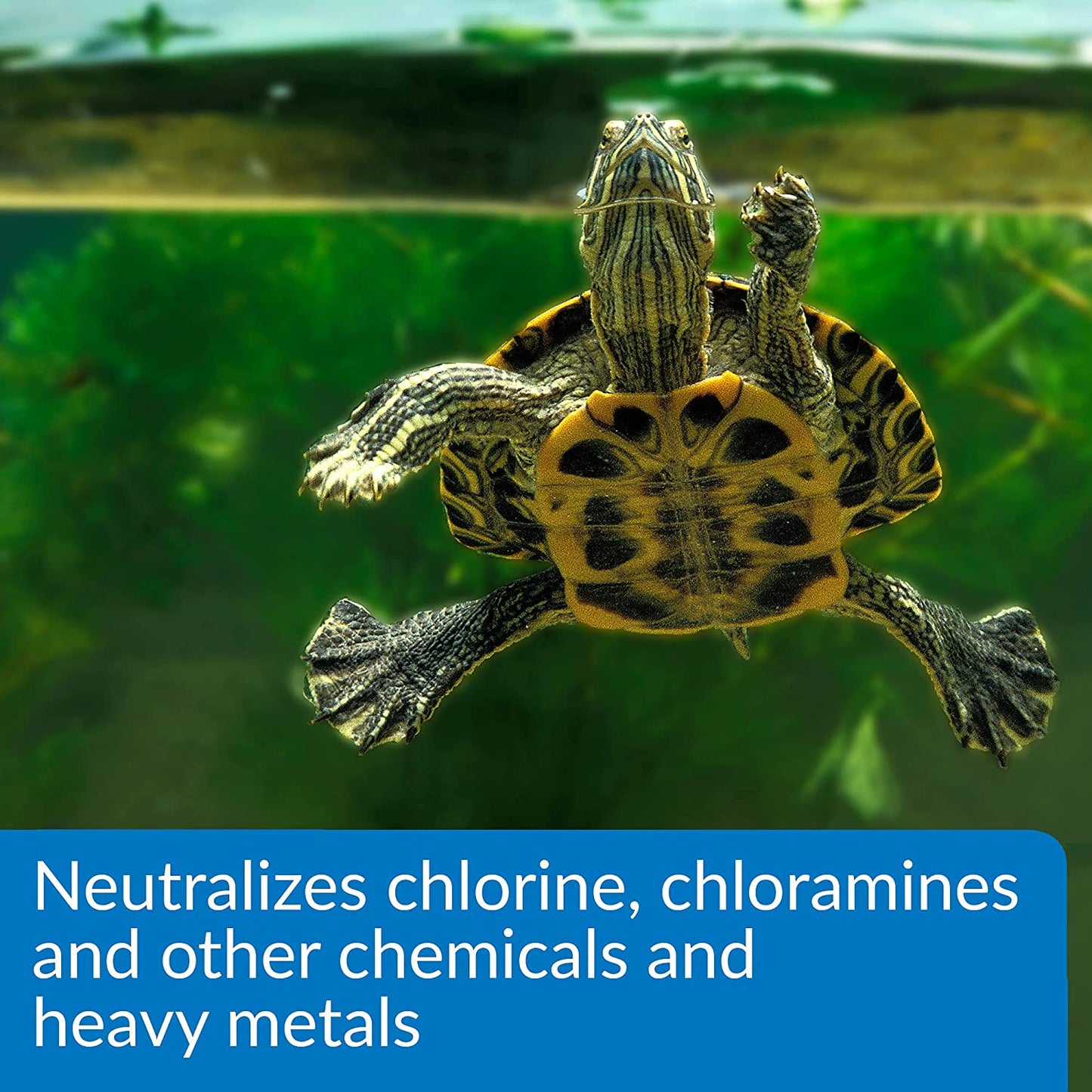 API TURTLE WATER CONDITIONER Water Conditioner 8-Ounce Bottle