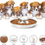 2 Pack Stainless Steel Puppy Bowls, Puppy Feeder for Multiple Pets, Dog Food and Water Bowl, Food Feeding Weaning for Small Medium Large Dogs, Pets