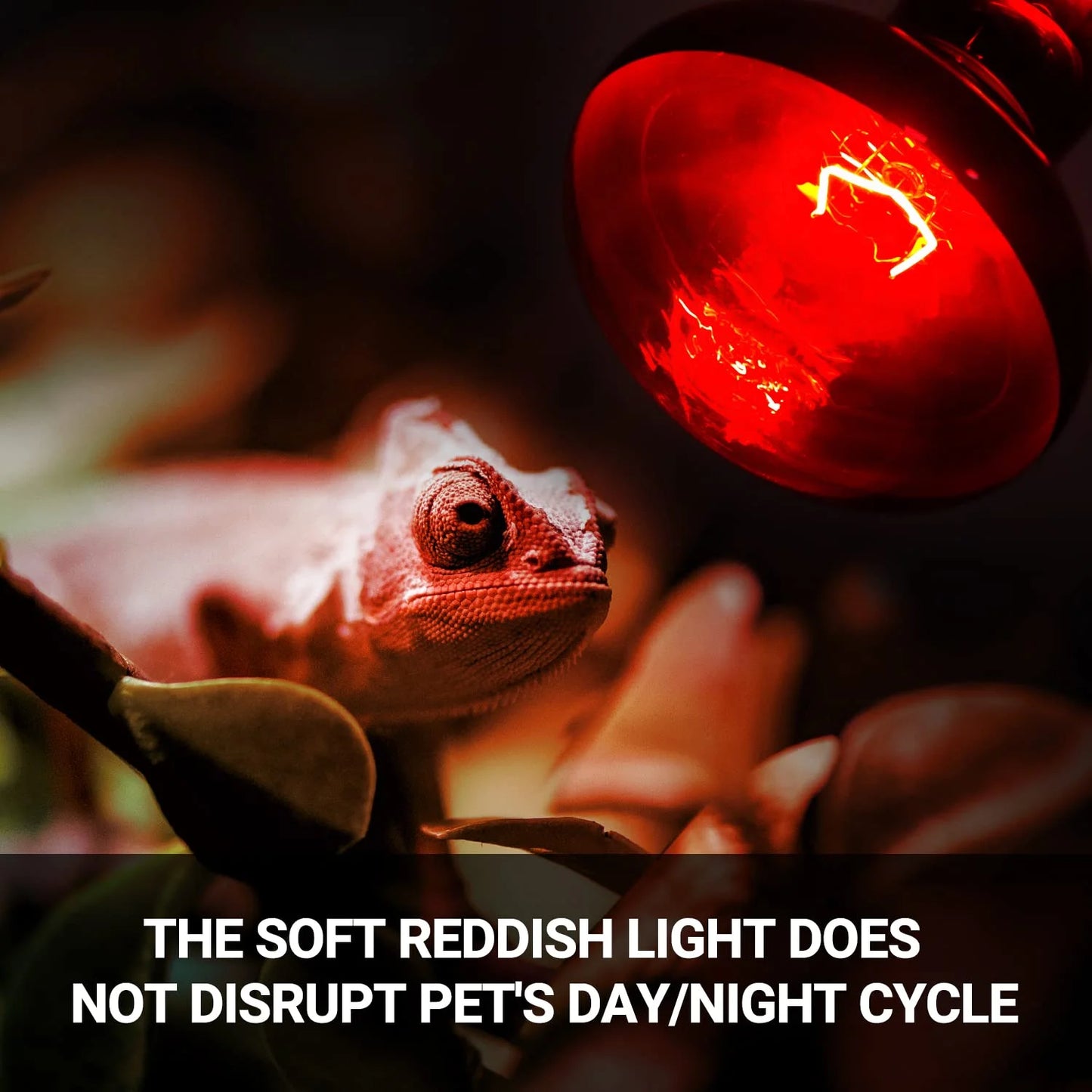 ECOSUB Reptile Heat Lamp 100W, 2Pcs E26 Basking Spot Light, Infrared Heat Lamp, Red