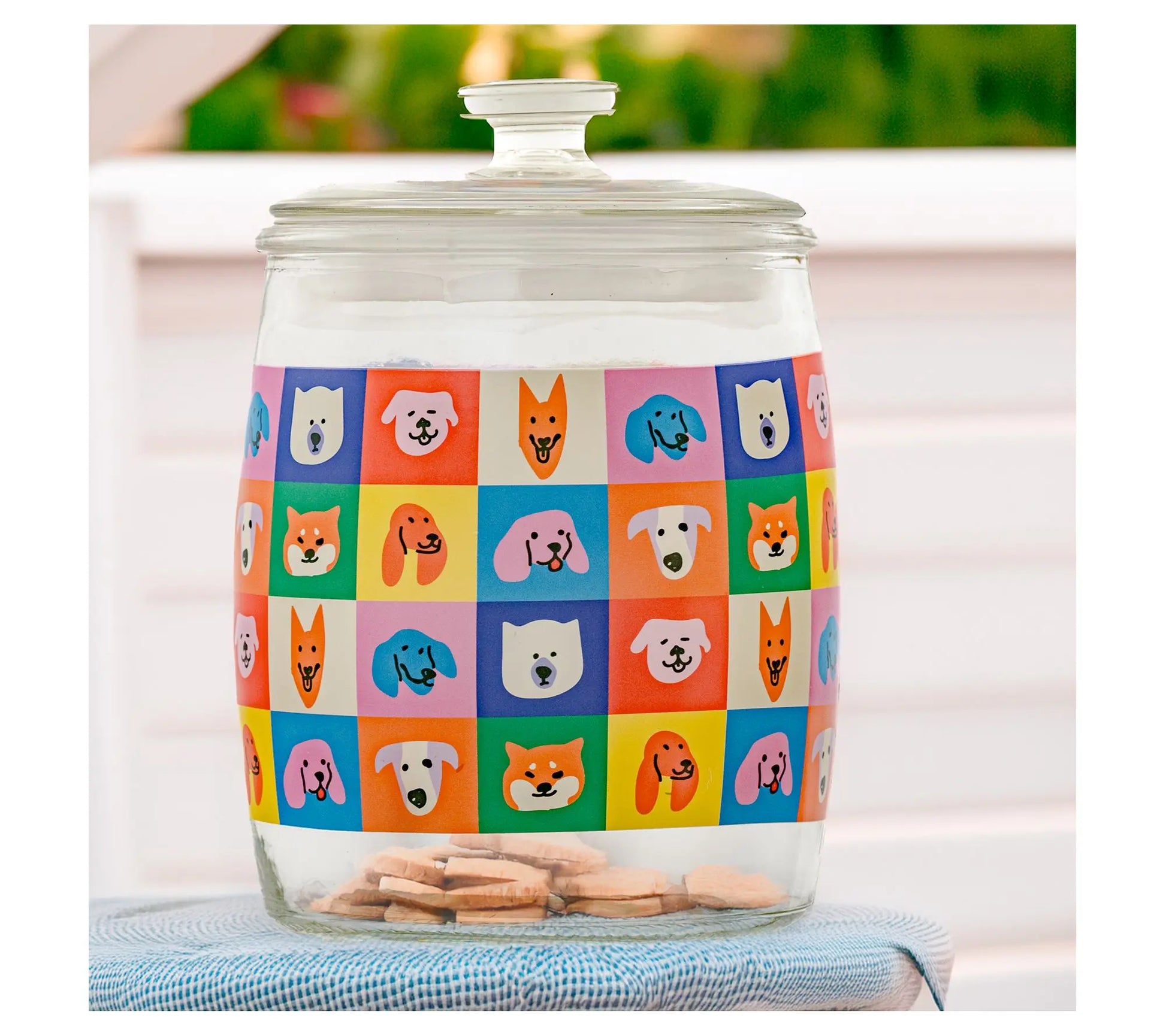 10 Strawberry Street Pet Treat Canister