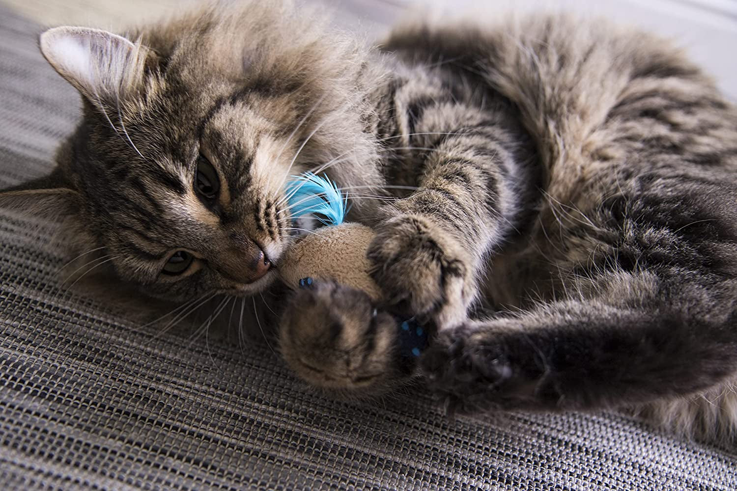 Smartykat (2 Count) Mouse Mates Plush Catnip Cat Toys - Brown/Gray, 2 Count