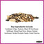 Ultimate 7 Lb. Nut and Fruit Bird Seed Food Blend Wild Bird Seed Mix