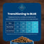 Blue Buffalo Life Protection Formula Natural Senior Small Breed Dry Dog Food with Chicken and Brown Rice