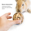 Andwe Small Animals Play & Activity Balls Rolling Chew Toys for Rabbits Guinea Pigs Chinchilla