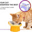 Ceramic Raised Slow Feeder Cat Bowl,Cat Slow Feeder,