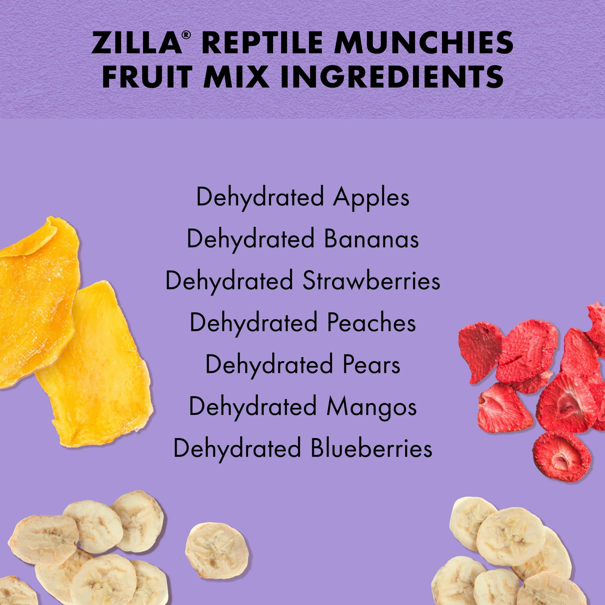 Zilla Reptile Munchies Fruit Mix Black 2.5 Oz.