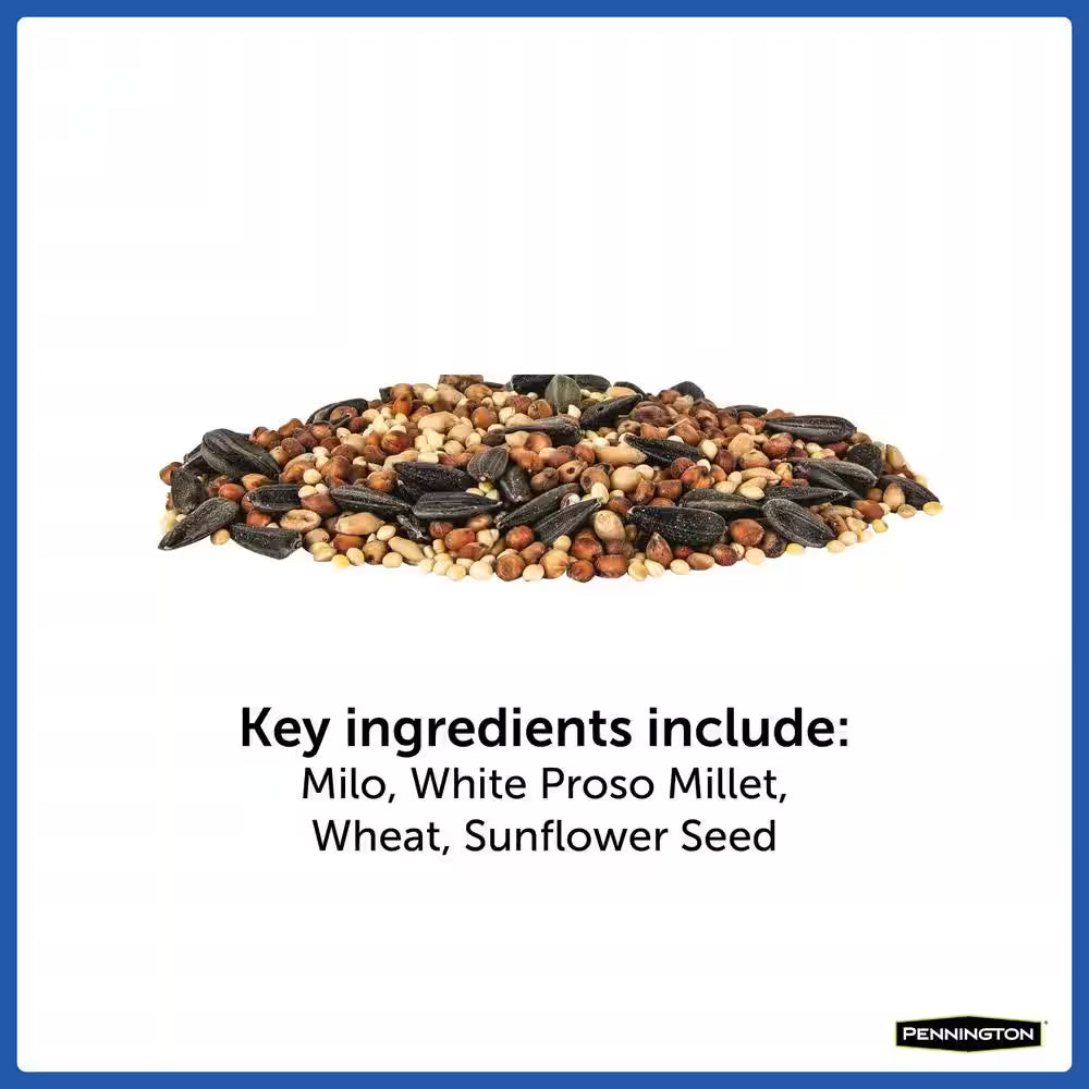 20 Lb. Wild Bird Seed Food
