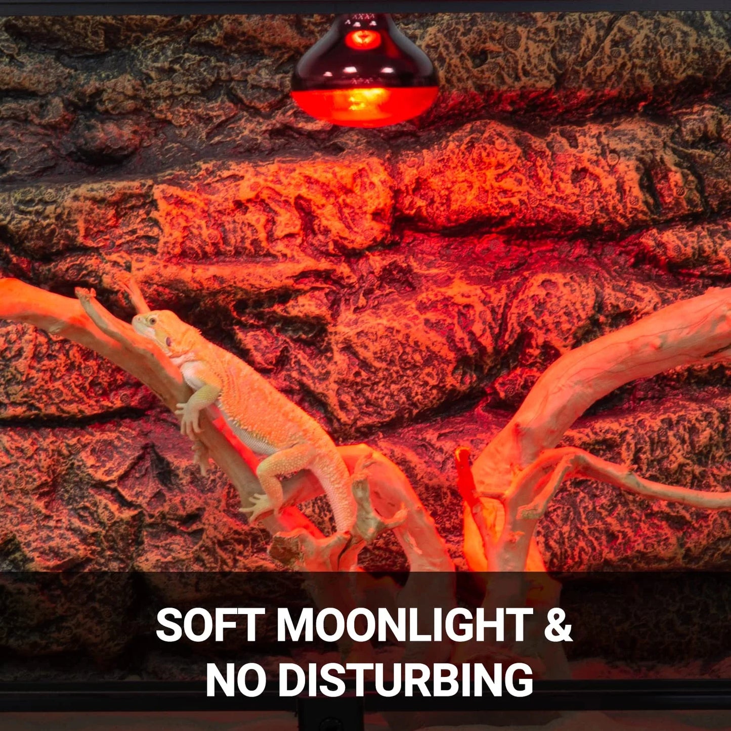 ECOSUB Reptile Heat Lamp 100W, 2Pcs E26 Basking Spot Light, Infrared Heat Lamp, Red