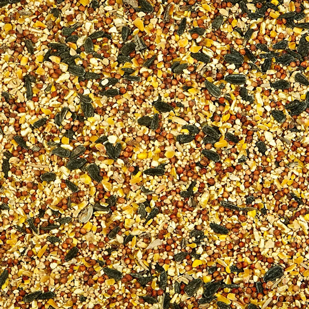 Kaytee Wild Bird Food - 10Lbs
