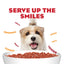 Purina Moist & Meaty Dry Dog Food, High Protein Steak Flavor with Real Beef, 12 Count