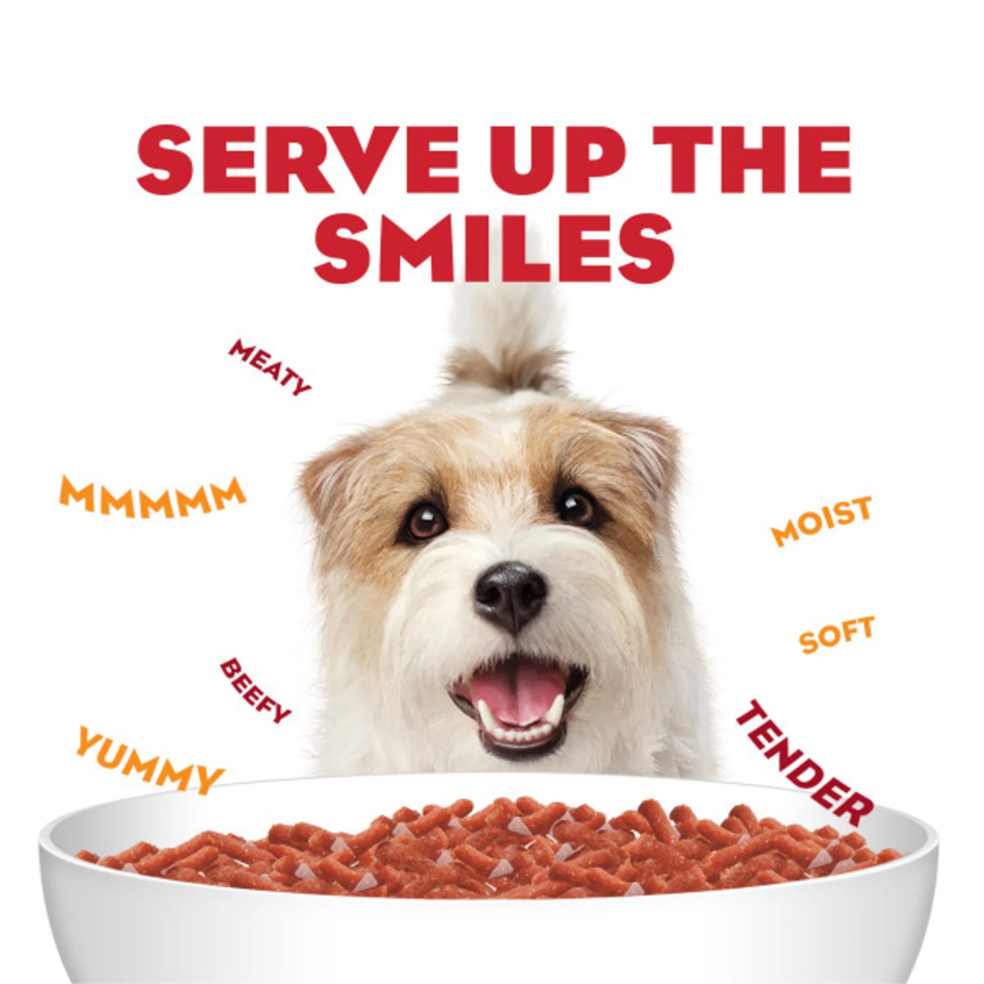 Purina Moist & Meaty Dry Dog Food, High Protein Steak Flavor with Real Beef, 12 Count