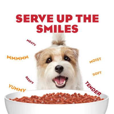Purina Moist & Meaty Dry Dog Food, High Protein Steak Flavor with Real Beef, 12 Count