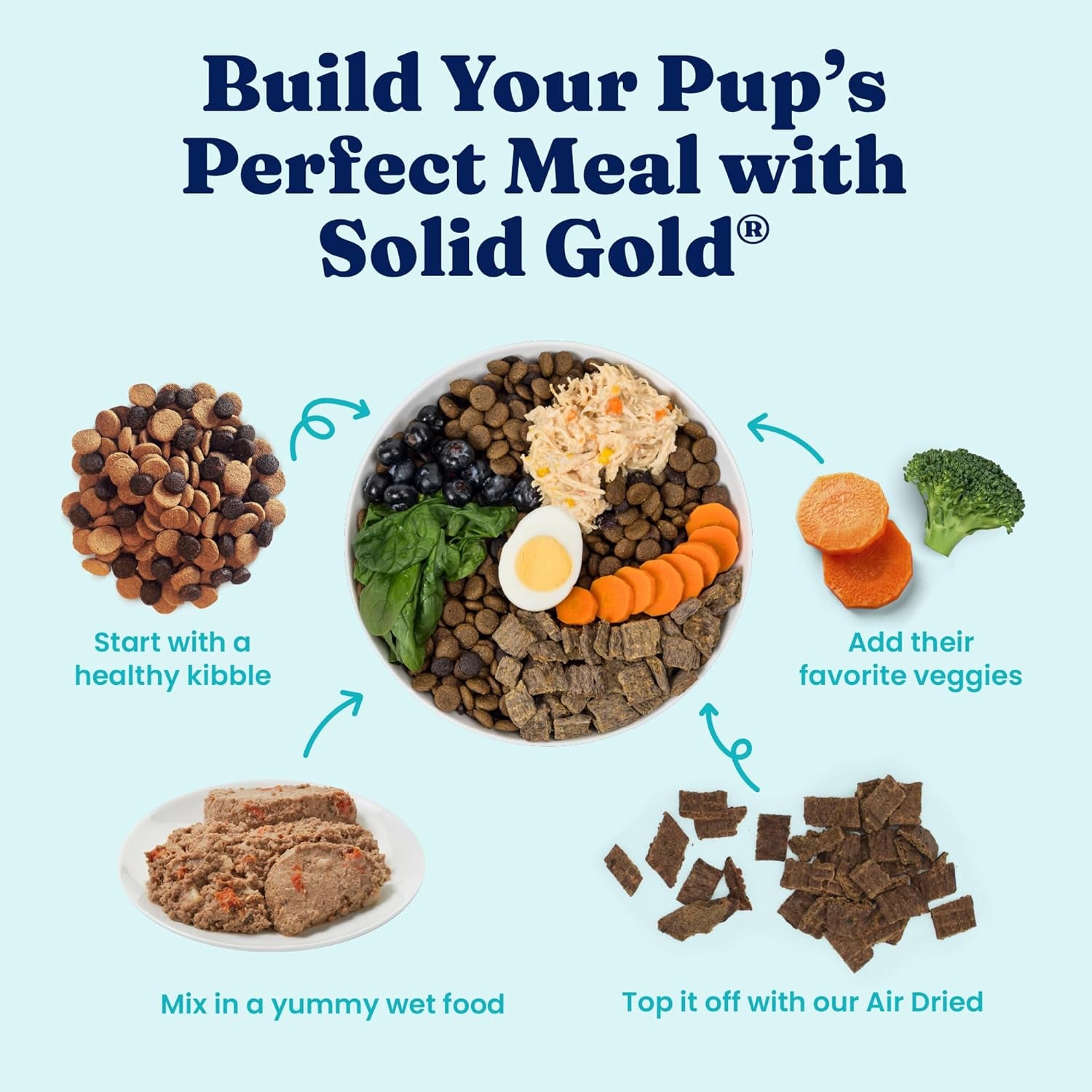 Solid Gold Sensitive Stomach Wet Dog Food for Adult & Senior Dogs - Grain Free Wet Dog Food W/Real Chicken, Salmon, Probiotics & Superfoods for Gut Health & Sensitive Stomach Support -6Ct 12.5Oz Cans