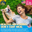 Vitagravy Dog Food Topper for Dry Dog Food Wet Dog Food in Herb Roasted Chicken Delicious Flavour. Dogs Love Rich Gravy Texture than Bone Broth for Dogs. Farmers Dog Food Toppers, Pet Food, 3.5Oz, 3Pk