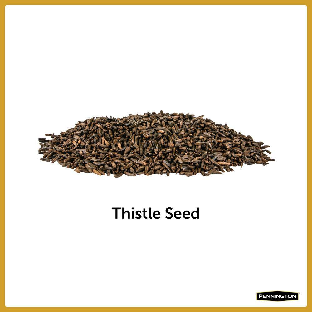 Premium 10 Lb. Thistle Nyjer Bird Seed Food for Finches and More Wild Bird Feed