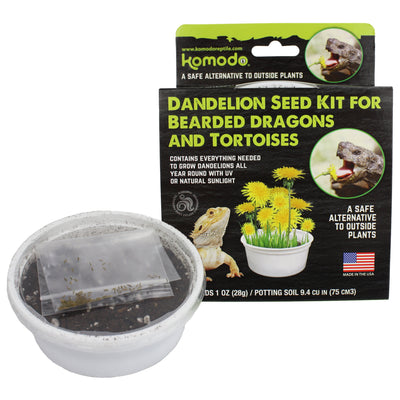 Komodo Grow Your Own Dandelion Reptile Food Kit , White Cup with Brown Soil and Dandelion Seeds