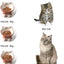 Nihow Elevated Cat Bowls,5 Inch Ceramic Raised Cat Food and Water Bowl Set