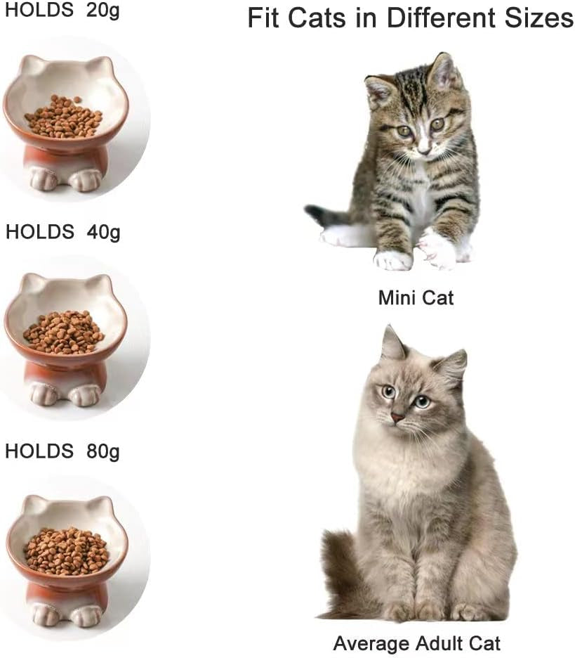 Nihow Elevated Cat Bowls,5 Inch Ceramic Raised Cat Food and Water Bowl Set
