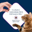 Nourish Your Cat with Blue Buffalo Basics Grain-Free Dry Cat Food - Skin & Stomach Care, Turkey & Potato Recipe, 11-Lb. Bag