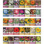 Bug Out Bag Seed Kit: 105 Varieties of Survival Seeds, Herbs, and Wildflowers Seed Starter Kit Home Planting Survival Vegetable Seed