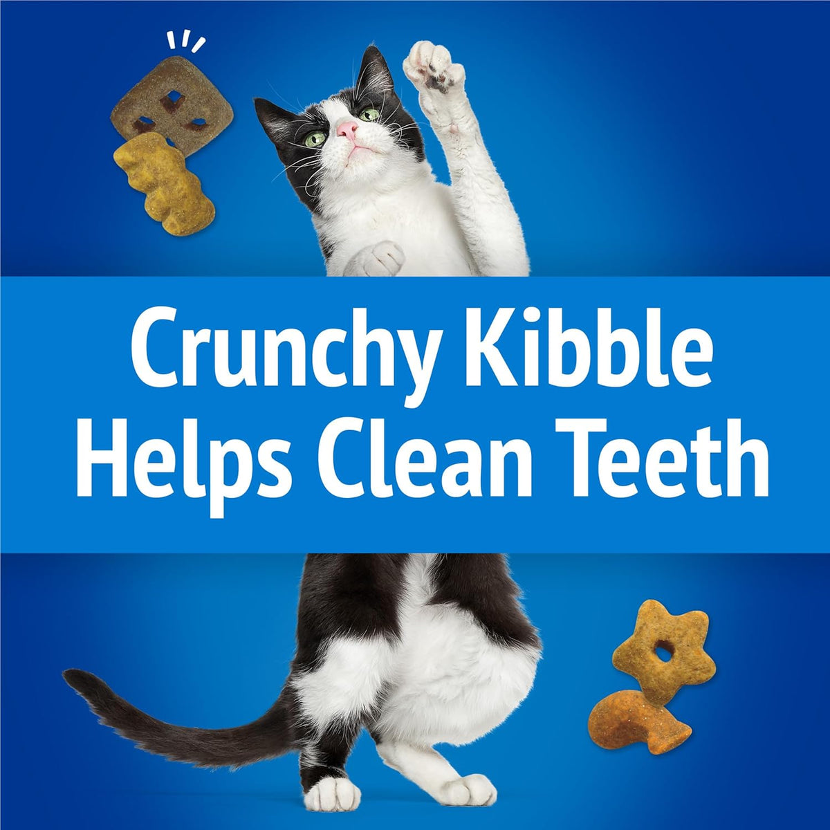 Friskies Purina Party Mix Beachside Crunch Treats, 30 Oz Pouch