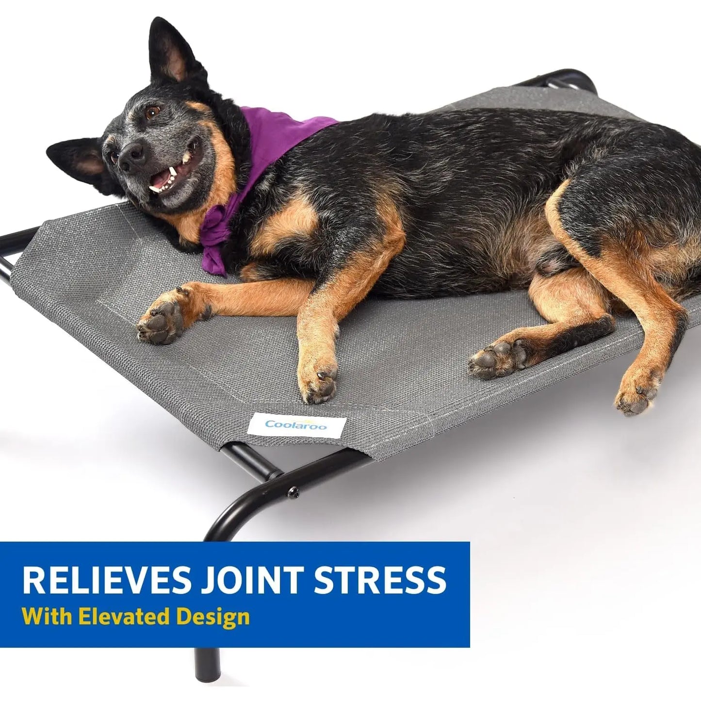 Coolaroo the Original Cooling Elevated Dog Bed, Indoor and Outdoor, Medium, Gunmetal Coolaroo