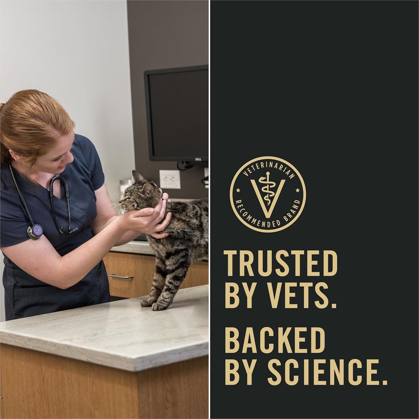 Purina Pro Plan Liveclear Cat Food Weight Management and Cat Allergen Reducer Chicken and Rice Formula - 3.2 Lb. Bag