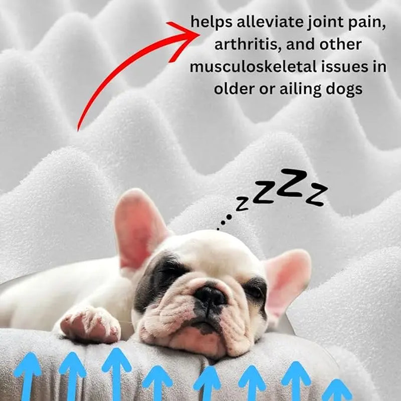 Loyalpaws Orthopedic Pet Bed Medium Memory Foam Bed for Cats and Dogs Washable, Non-Slip Bottom, Orthopedic Designed