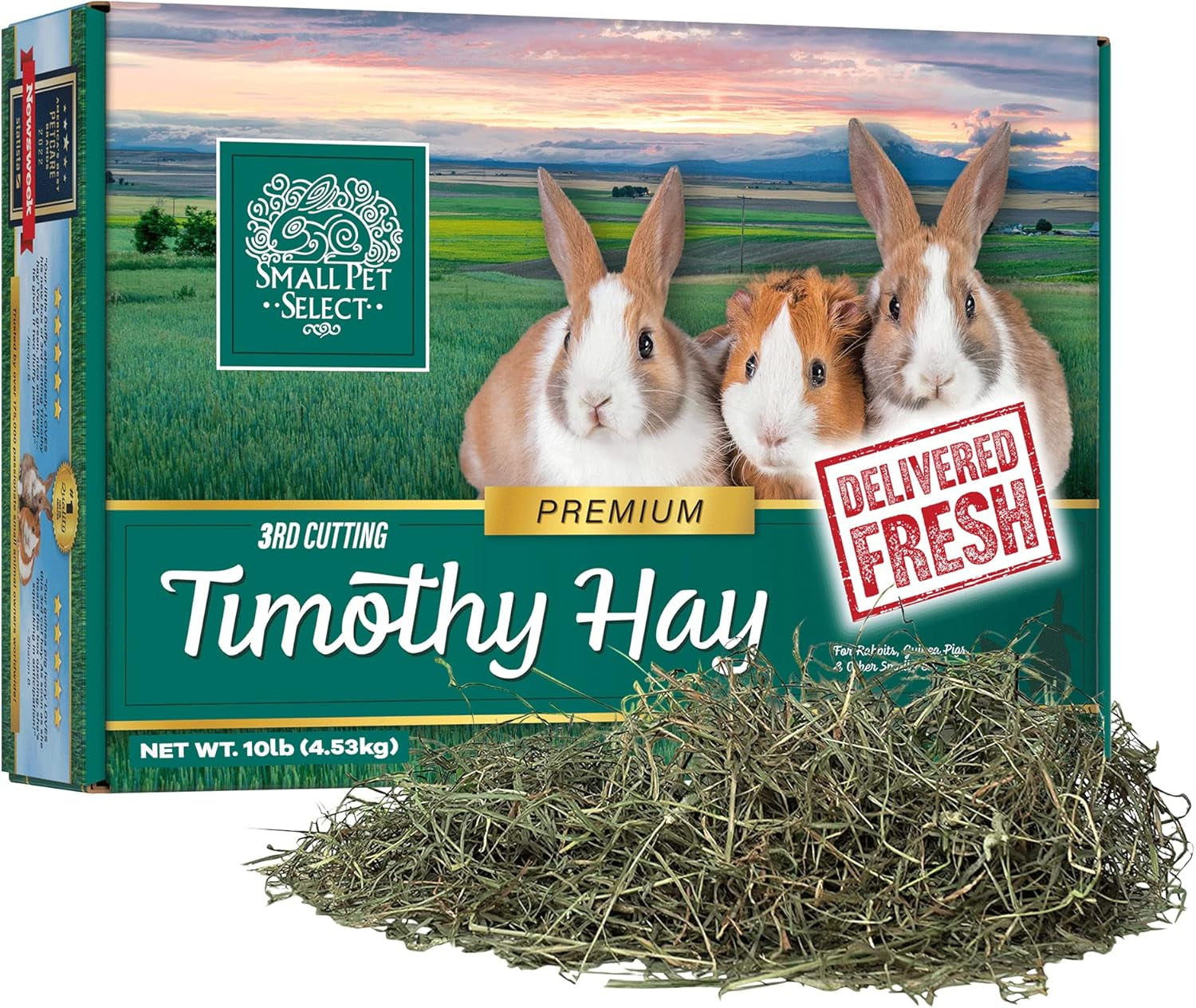 Small Pet Select 3Rd Cutting Super Soft Timothy Hay Pet Food for Picky Eaters, Rabbits, Guinea Pigs, and Other Small Animals, Easy to Store Box, 10 LB