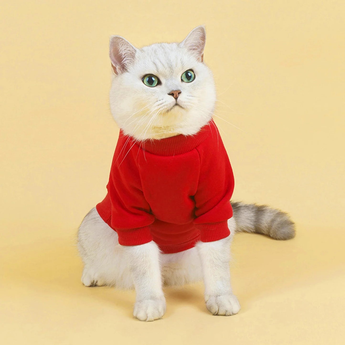 Walbest Dog Sweaters for Small Dogs, Cute Dog Clothes Classic Warm Pet Sweaters for Dogs Girls Boys, Cat Sweater Dog Sweatshirt Winter Coat Apparel for Small Dog Puppy Kitten Cat((Pink, L)